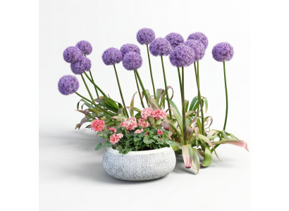 Flower pot natural plant container decoration garden vases figure flower pots