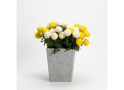 Flower pots plant containers decoration vases garden figure nature flower pots