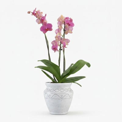 Flower basket figures flowers vase statue vessel garden terrace decoration