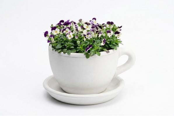 Flower pot, plant tub, nature decoration, vases, figure, garden flower pots