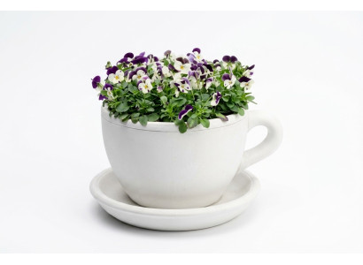 Flower pot, plant tub, nature decoration, vases, figure, garden flower pots