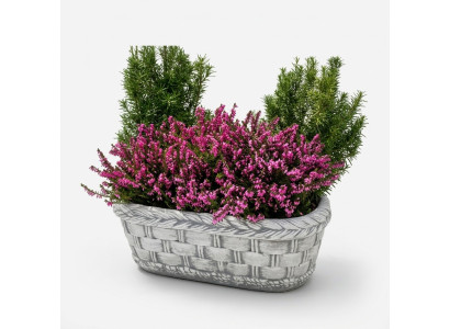 Flower pot, plant, nature, tub, decoration, garden, vases, flower pots, figure