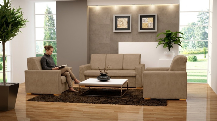 Sleeper sofa sofa upholstery bed sleep sofas couch seat bed function couches new