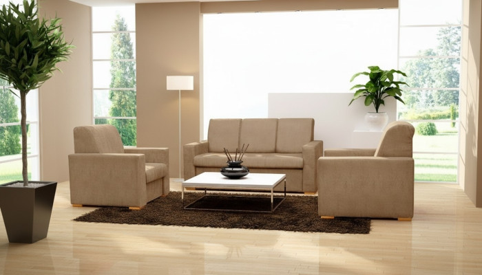 Sleeper sofa sofa upholstery bed sleep sofas couch seat bed function couches new