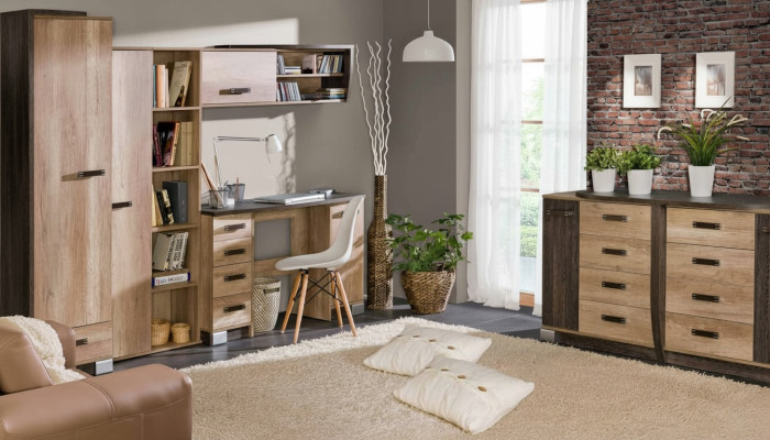 Tall cabinet cupboard with 1 door, multipurpose drawers, living room shelf display cabinet, new