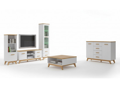 Living Room Set Wall Unit Display Cabinet Lowboard Wall Shelf TV Table 5-piece