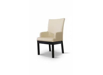 Dining Chair Set 20x Chair Armchair Wood Leather Upholstered Chair Catering Dining Room