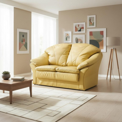 Design two-seater sofas couch upholstery modern couches faux leather sofa