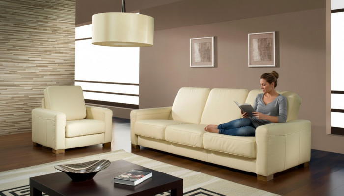 Two-seater couch classic leather sofa couch upholstered sofa 2-seater leather