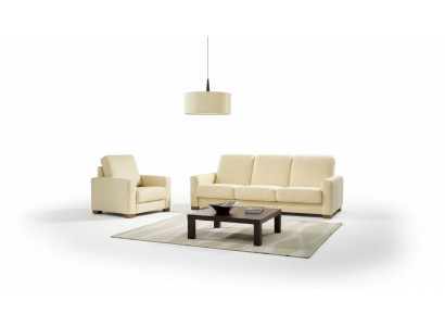 Two-seater couch classic leather sofa couch upholstered sofa 2-seater leather