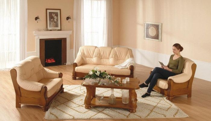 Classic Leather Armchair 1-Seater Couch Sofa Upholstered Single-Seater 1-New TV