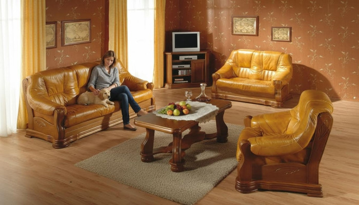 Classic living room furniture sofa set leather sofa seat cushion sofa