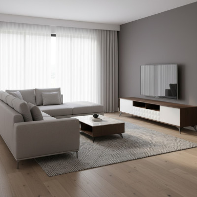 RTV Sideboard TV Wall High Gloss Lowboard TV Cabinet TV LED TV Cabinet