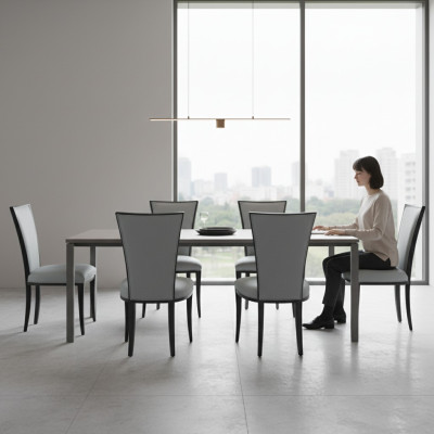Set of 6 solid wood chairs dining chairs designer chair chairs dining chairs new