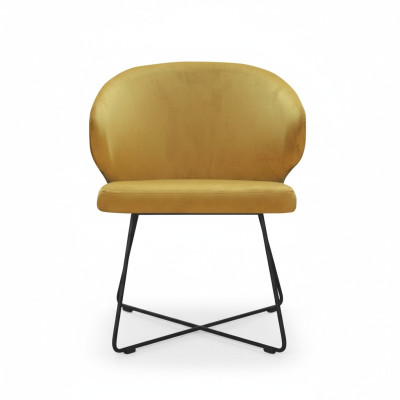 Designer chair seat practice dining room chairs textile fabric upholstery waiting room law office