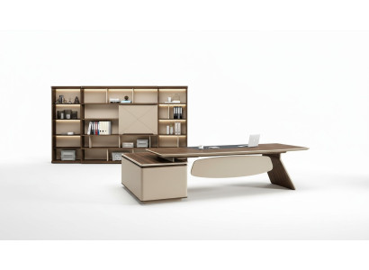 Office furniture 2-piece set: executive desk, filing cabinet, office desk, tables, shelf