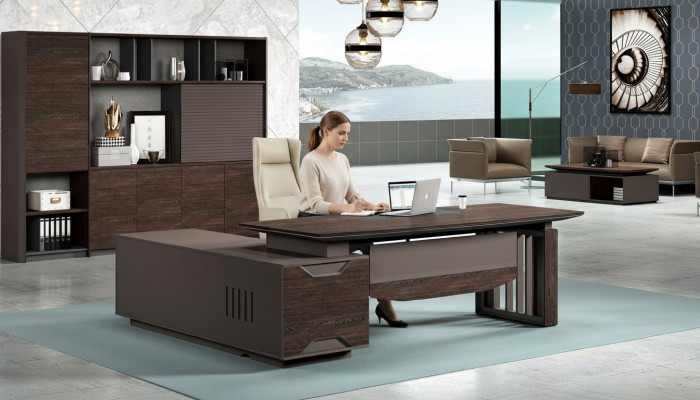 Filing cabinet bookshelf shelves cabinet luxury office furniture cabinets