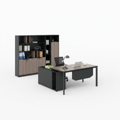 Filing cabinet bookshelf shelves cabinet luxury decor office furniture cabinets