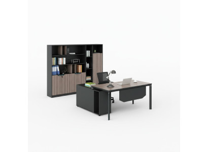 Filing cabinet bookshelf shelves cabinet luxury decor office furniture cabinets
