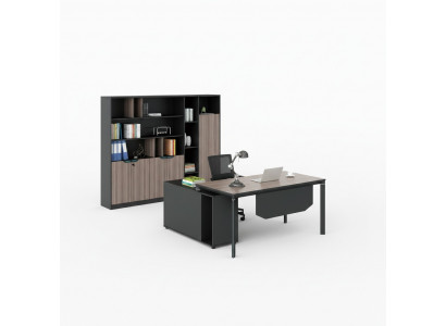 Filing cabinet bookshelf shelves cabinet luxury decor office furniture cabinets