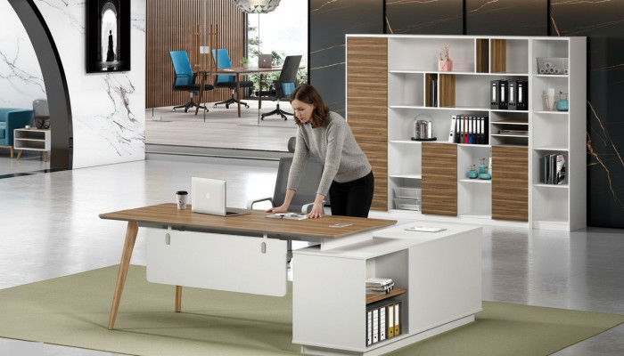 Filing cabinets, home office furnishings, shelves, cabinets, wooden office furniture