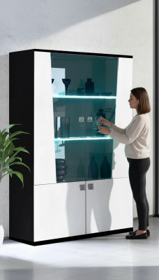 Modern wooden display cabinet glass cabinet Italy