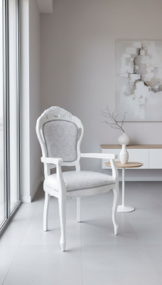 Chair White Silver Design Living Room Dining Room Wood Chairs Upholstered Made in Italy