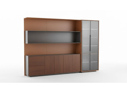Books, files, cabinet, shelf, wall, office, practice, company, office, furniture