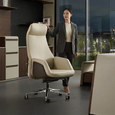 Office chair, gaming chair, desk chair, decoration, swivel chair, executive chair