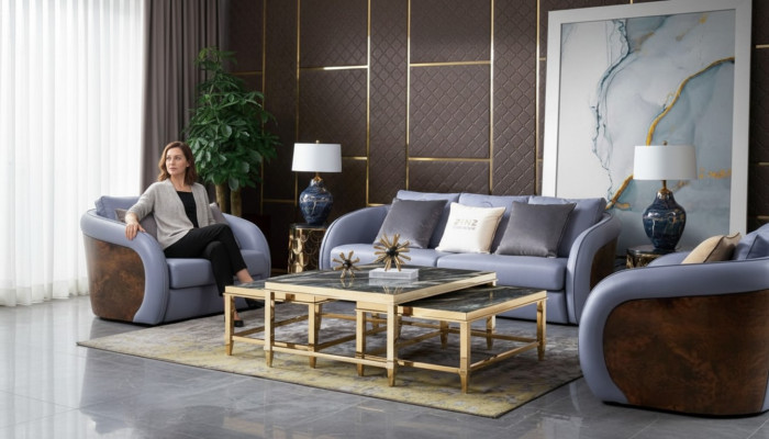 Design Furniture Sofa Couch 3 Seater Upholstery Sofas Living Room Couches Leather Three-Seater