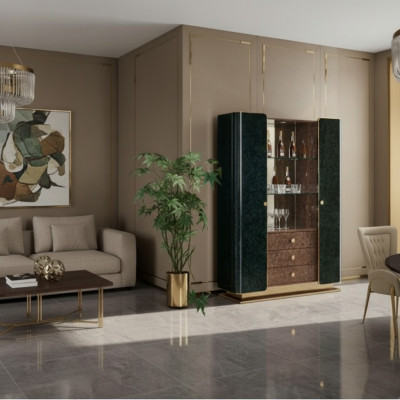 Display cabinet living room cabinets vitrines glass cabinet wooden cabinet glass wood