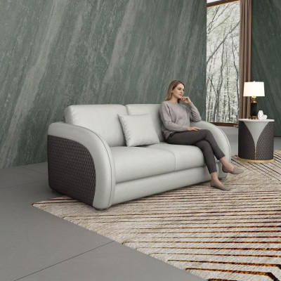 Leather Sofa Couch Living Area 2-Seater Design Modern Sofa Two-Seater Genuine Leather