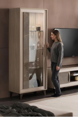Display cabinet bookshelf wall unit cabinet furniture shelves living room