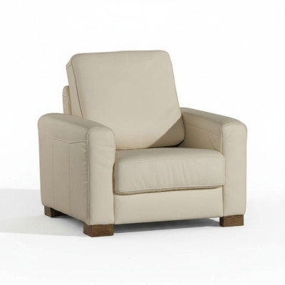 Armchair Single Lounge Sofa TV Single Couch Living Room Furniture Sofas New