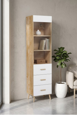 Bookshelf, display cabinet, display cupboard, glass cabinet, shelf, wood, cabinet, bookcase