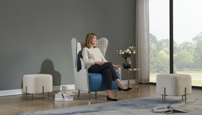 Armchair, club chair, lounge chair, cocktail chair, armchair, sofa, couches, TV, new.