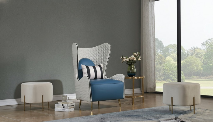 Armchair, club chair, lounge chair, cocktail chair, armchair, sofa, couches, TV, new.