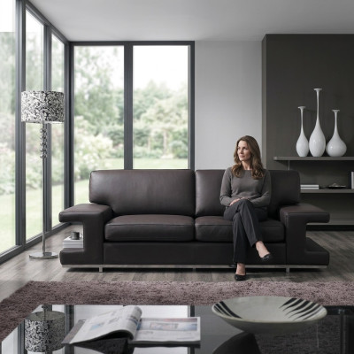 Sofa Couch Upholstery 2 Seater Leather Sofas Couches Seating Suites Design