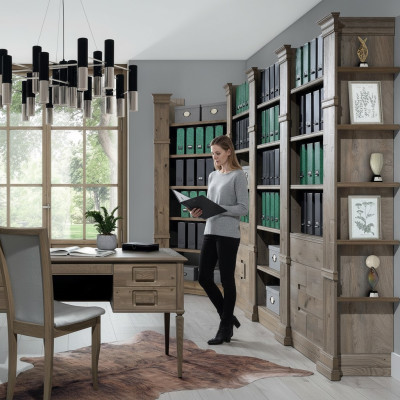 Corner shelf, shelf, storage, living wall, filing cabinet, office cabinet, furniture