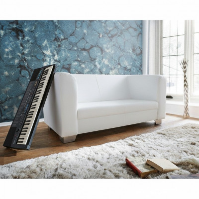 Sofa Couch Design Upholstery Modern Leather Sofas 2-Seater Two-Seater Designer New