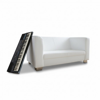 Sofa Couch Design Upholstery Modern Leather Sofas 2-Seater Two-Seater Designer New