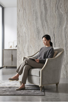 Lounge chairs, sofa, hotel furniture, armchair, single-seater, royal chair, throne