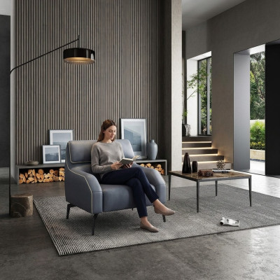 Living room design armchair single-seater sofa couch lounge club 1-seater