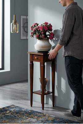 Wooden plant stand in brown with drawer and shelf