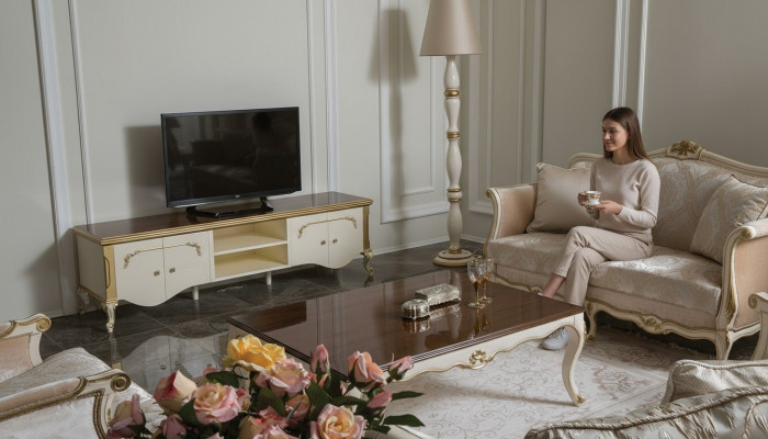 Luxury set coffee table TV cabinet sofa couch upholstery set suite 3-piece. New