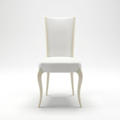 Dining room chair, chair, upholstered chair, armchair, chairs, wood, modern design, seat, new.