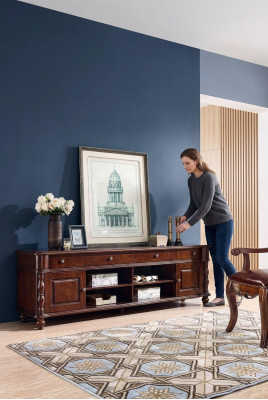 Living room cabinet TV cabinet furniture cabinets shelf sideboard RTV
