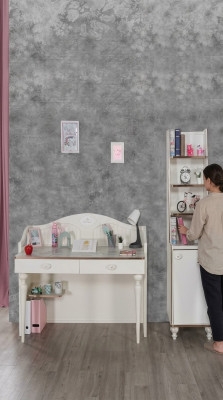 Bookcase Desk Teen Room Furniture Shelves in Children's Room 2-Piece Set