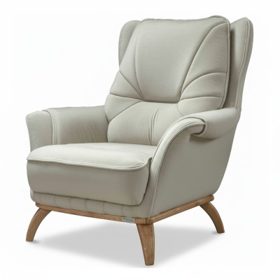 Armchair Upholstery Seat Design Couch Armchair Relax Faux Leather Lounge Living Room