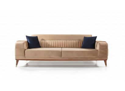 Modern sofa, 3-seater, color beige, living room design style, wood